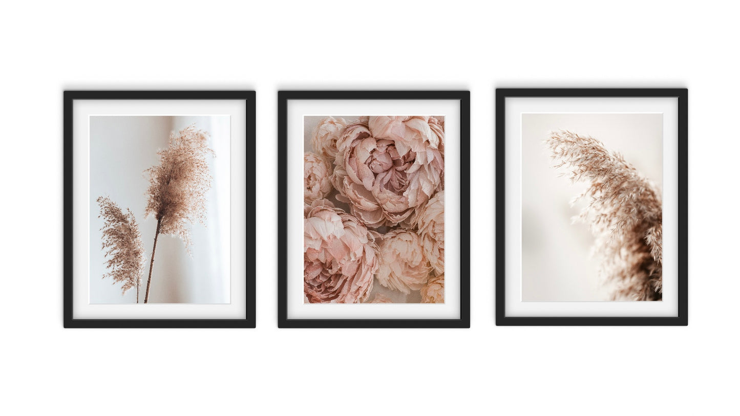 Vintage Blossoms (3 ภาพ)