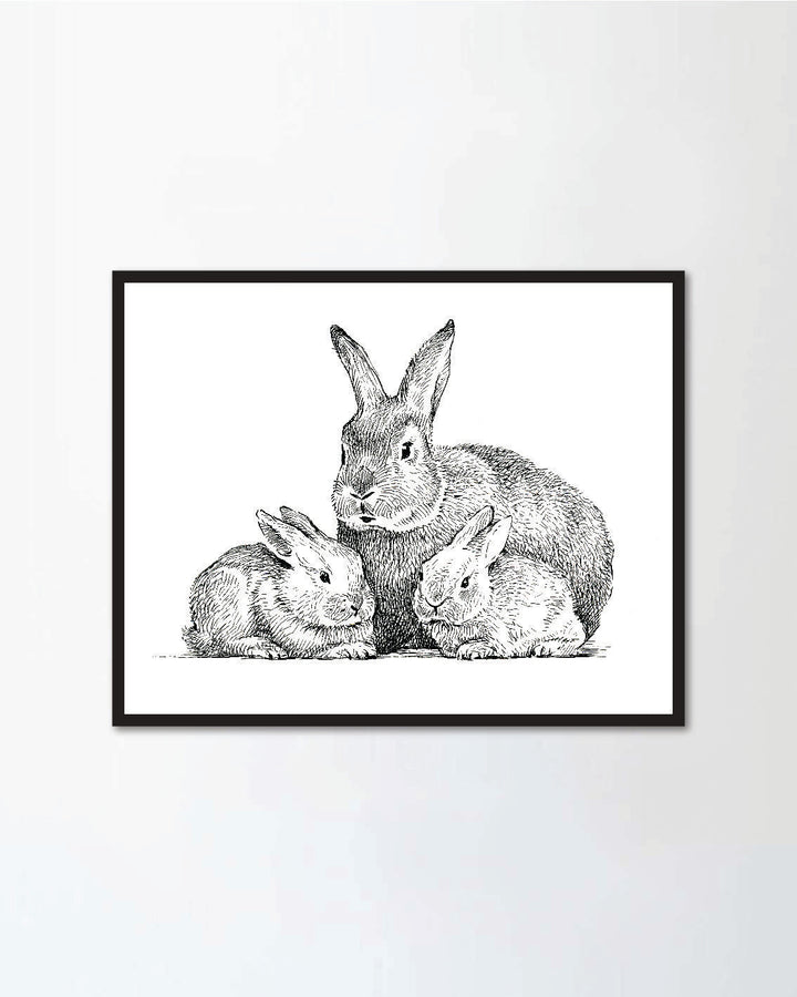 Three rabbits