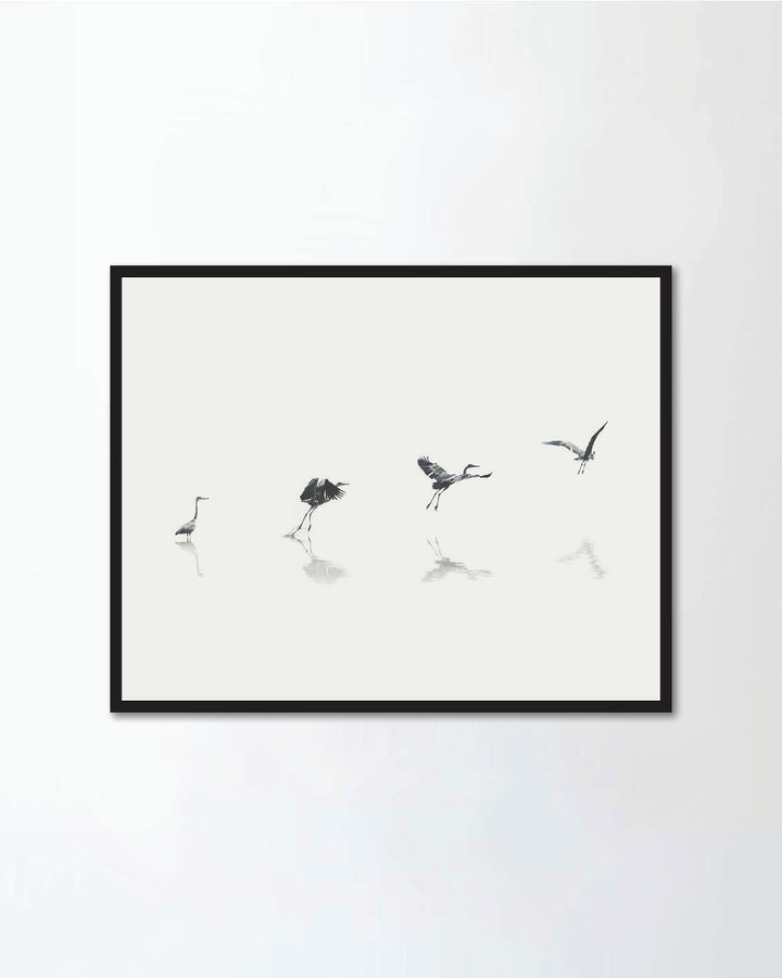 flight steps progress of a migratory bird