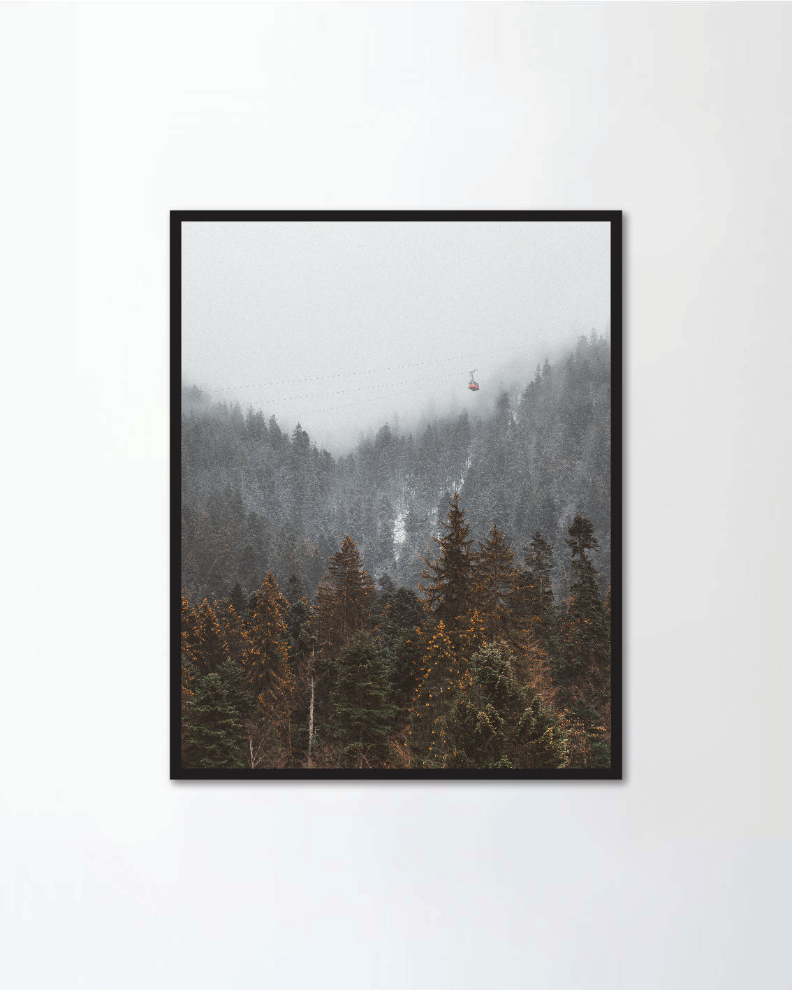 Panorama Forested mountain