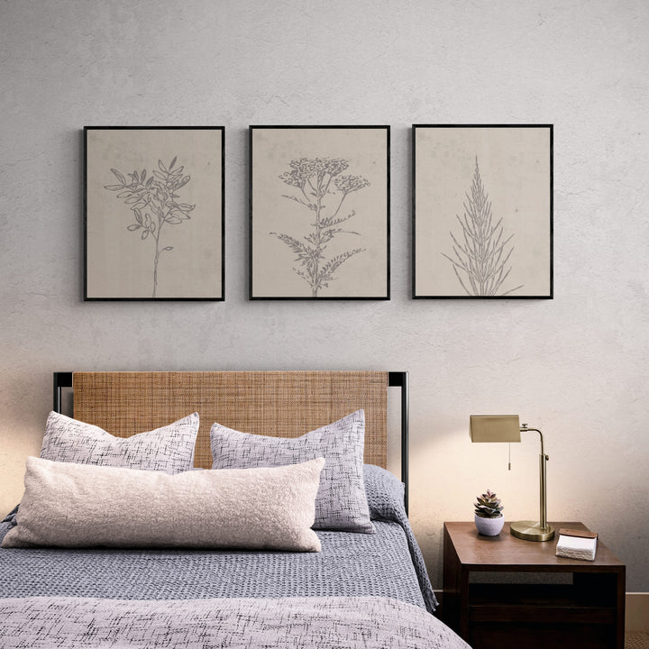 Botanical Calm Trio (2 ภาพ)