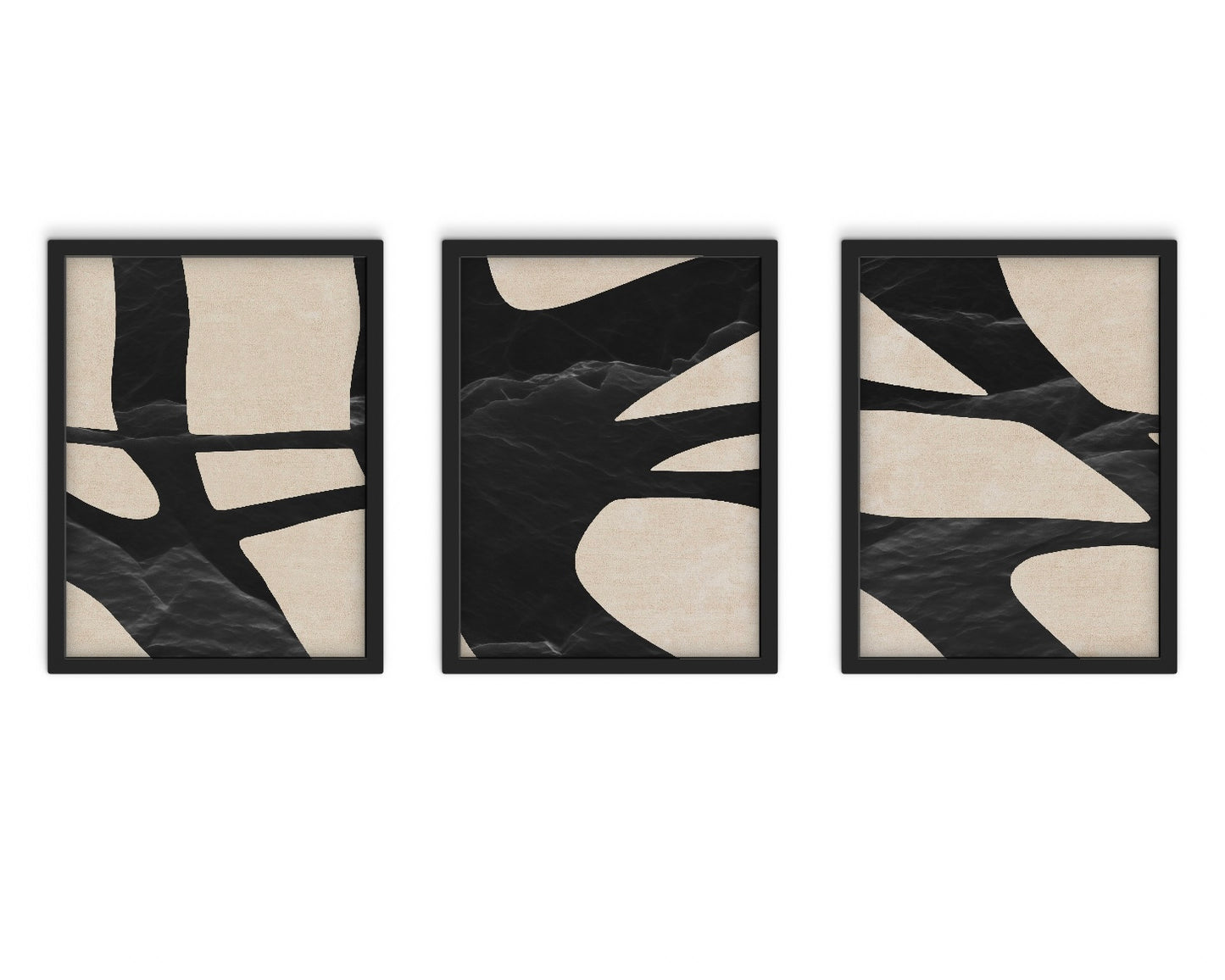 Monochrome Motion (3 ภาพ)