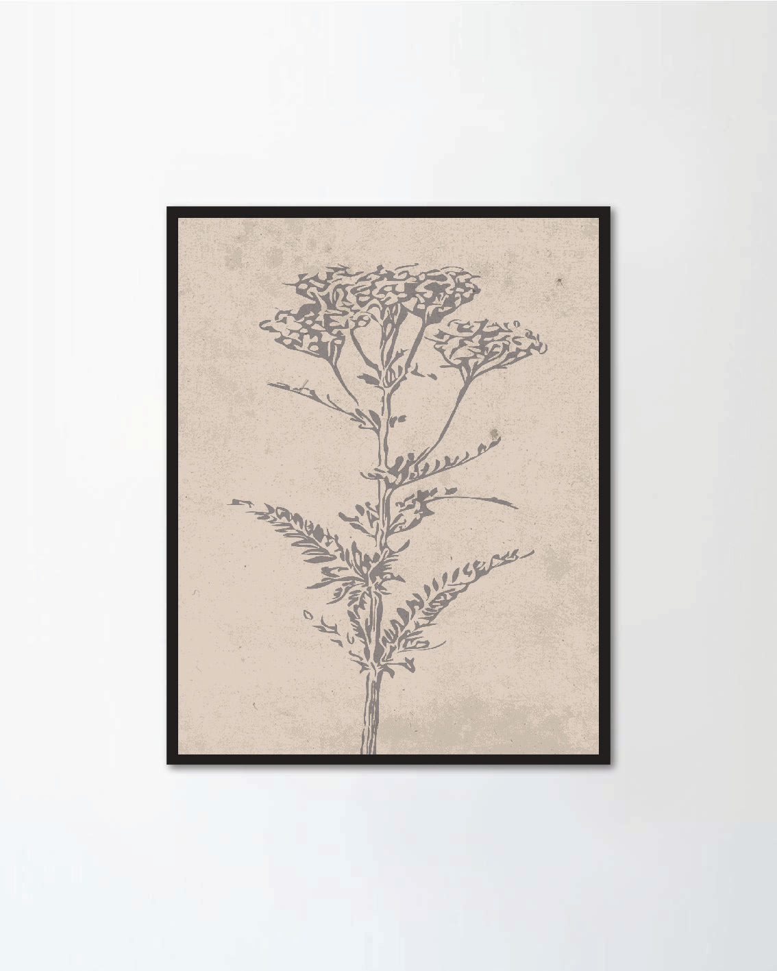 Set of botanical posters