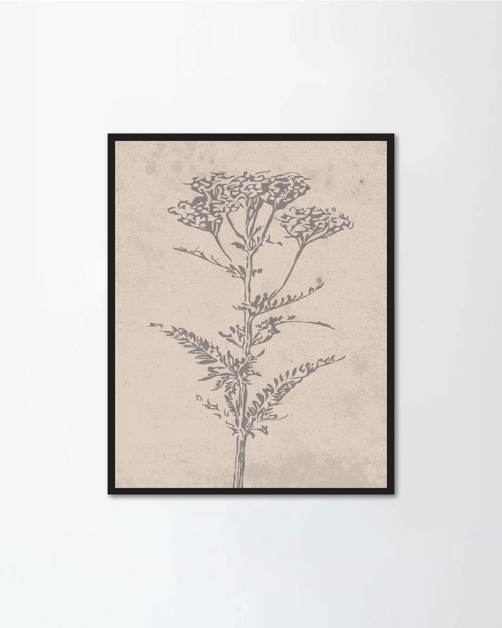 Set of botanical posters