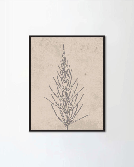 Set of botanical posters