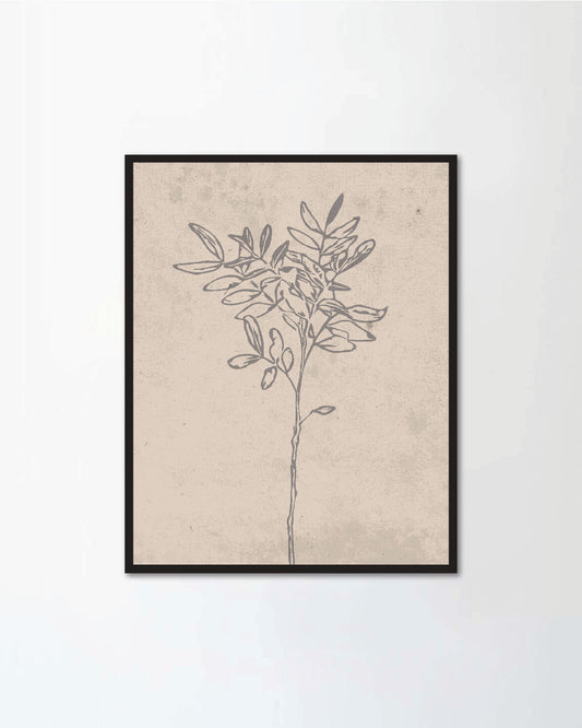 Set of botanical posters