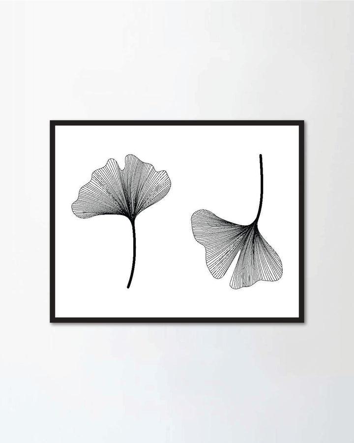 Ginkgo biloba set isolated