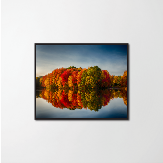 Autumn leaves