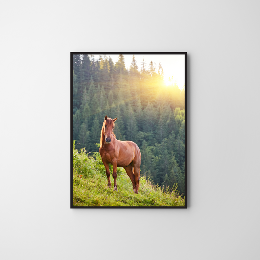 The horse grazes in a mountain