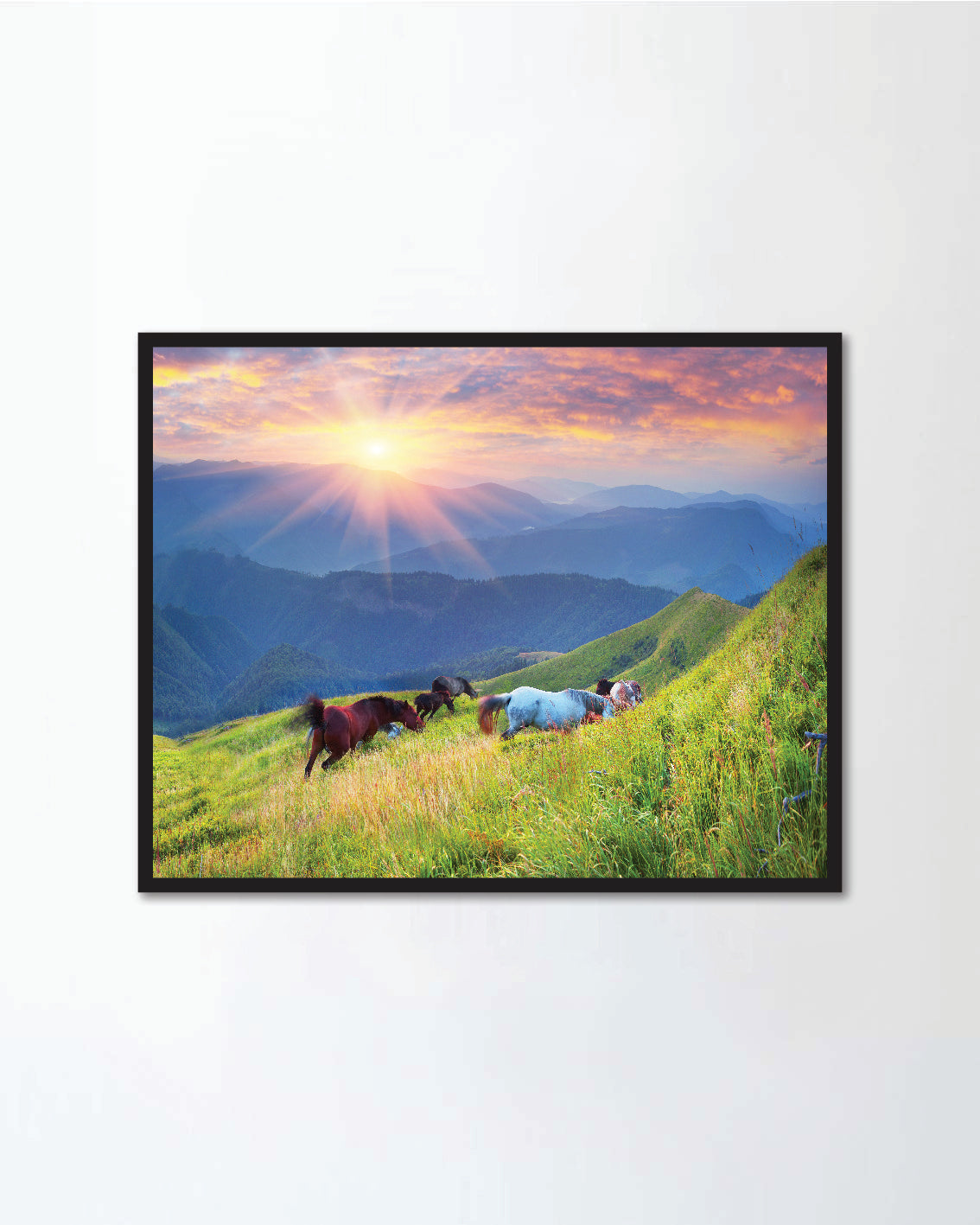 Grazing wild horses on the slopes of the mountain