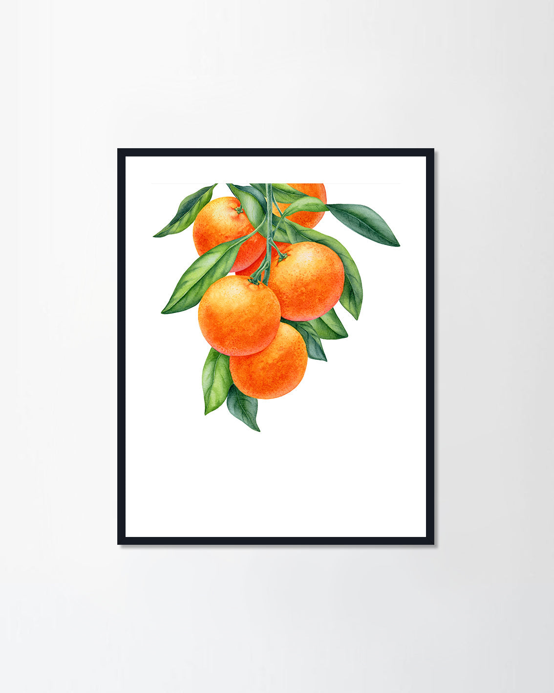 Mandarin branches