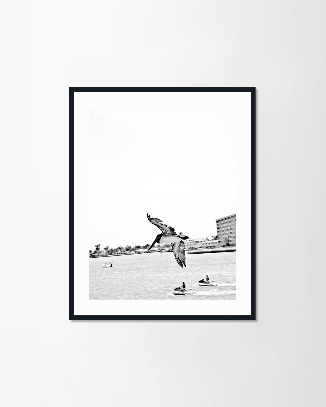 Flying pelican