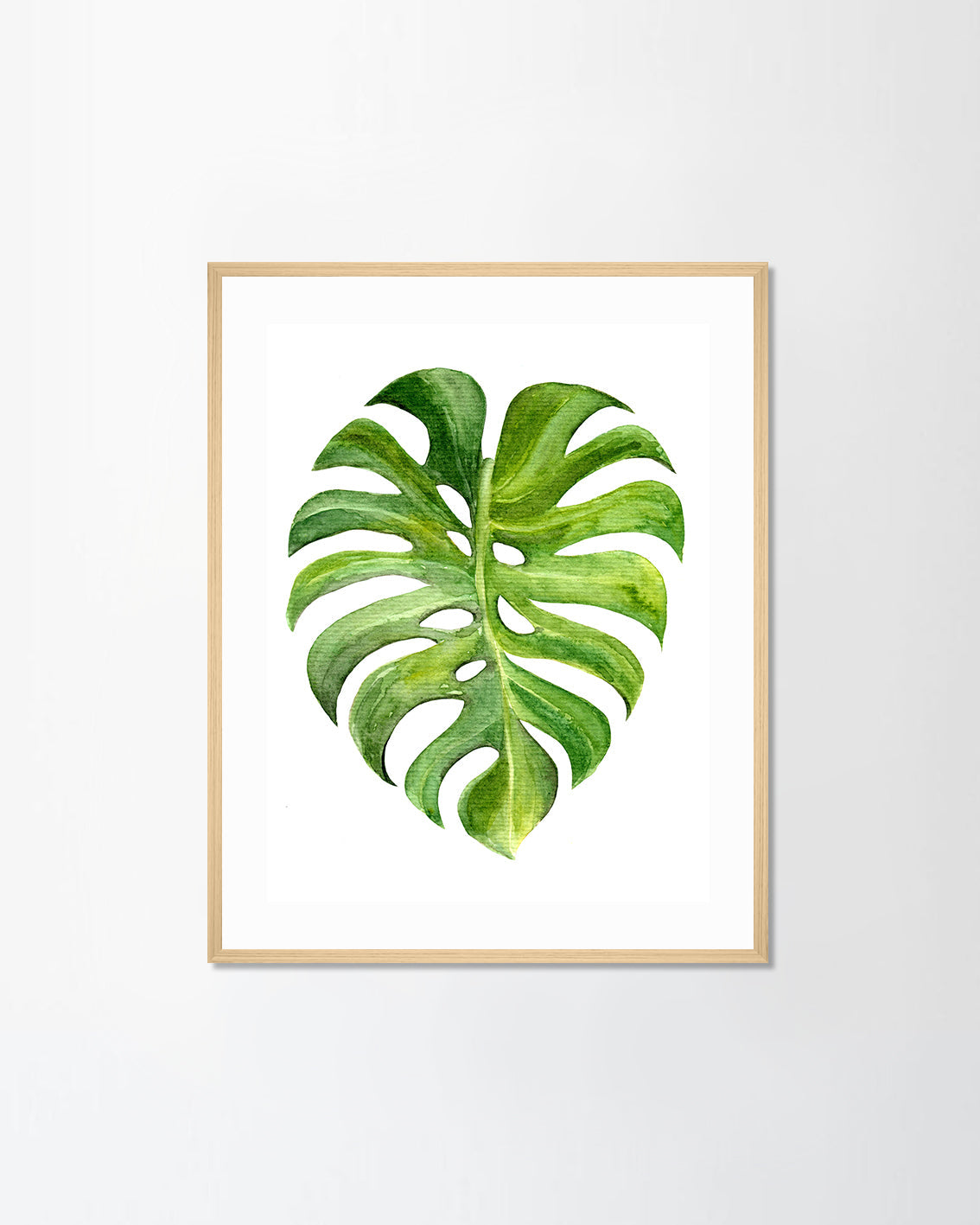 Monstera leaf