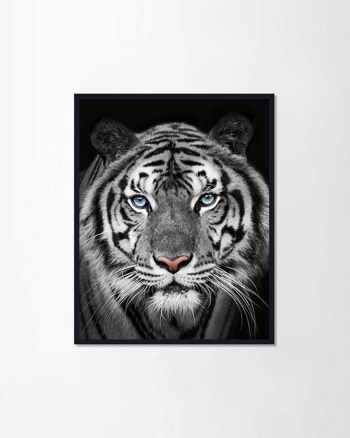 White tiger