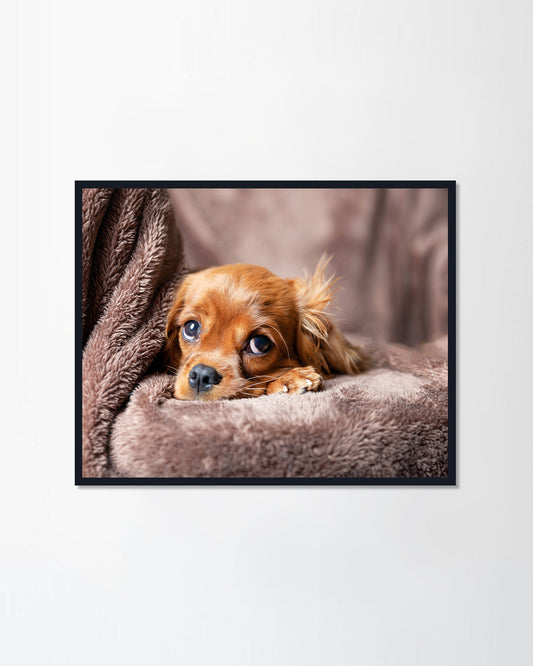 Puppy lying on the warm blanket