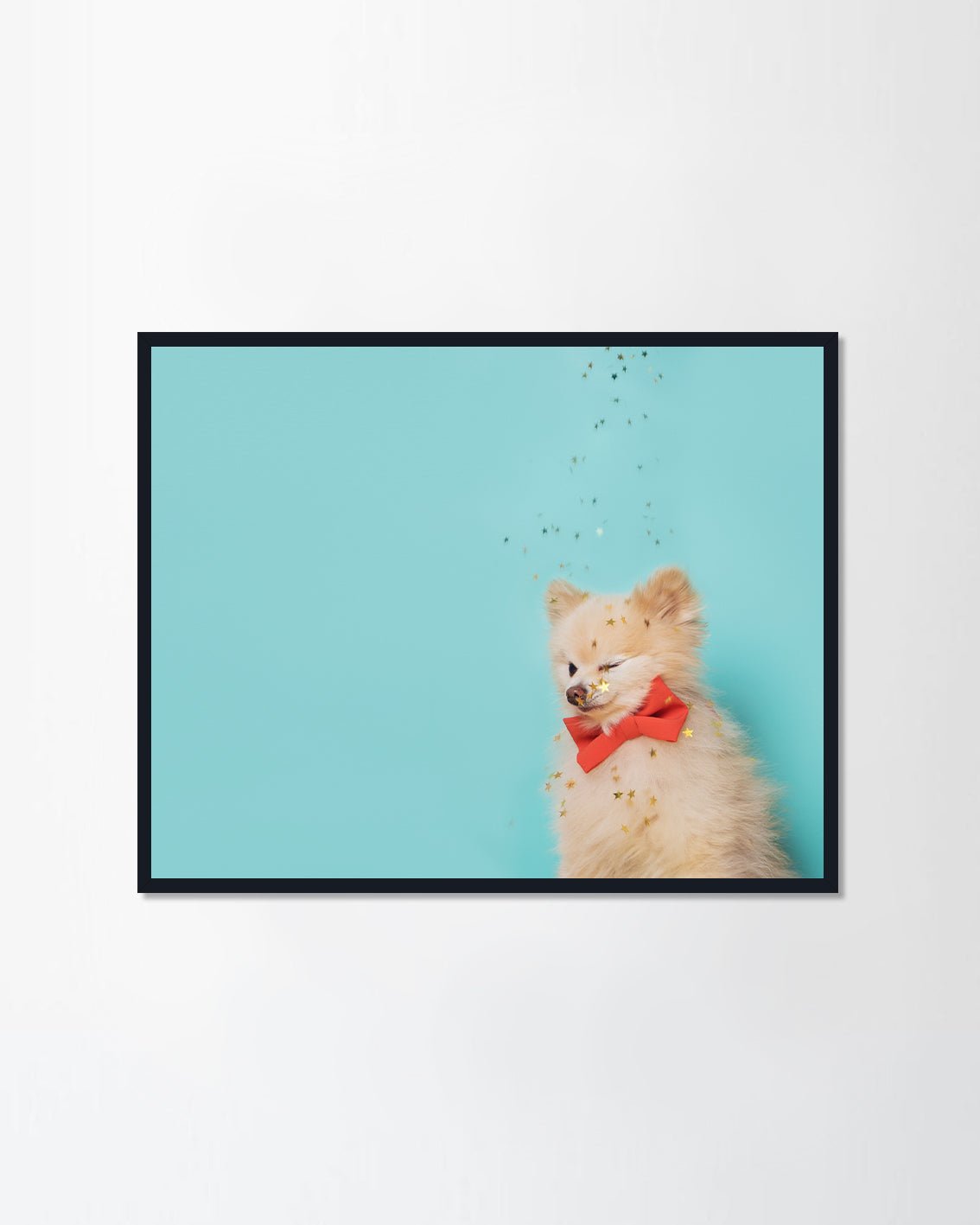 little dog with orange bow