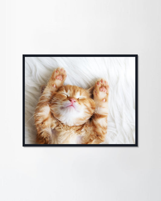 Red kitten sleeps on fur