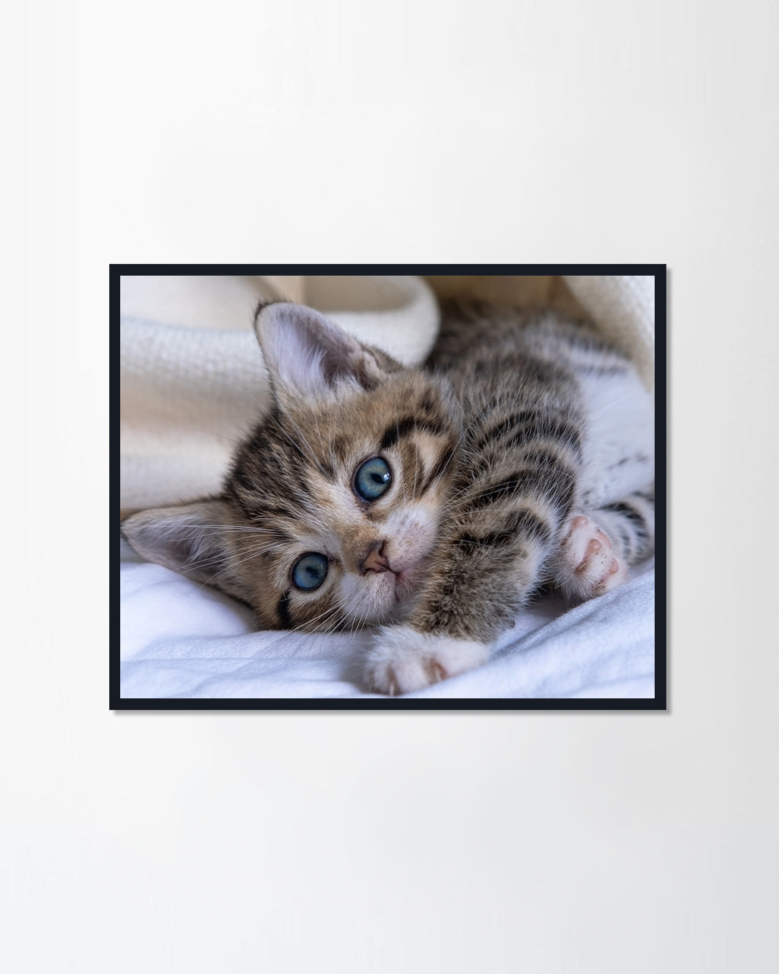 Adorable little pets