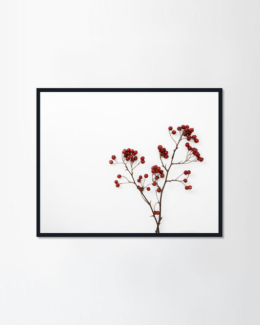 Red rowan bouquet