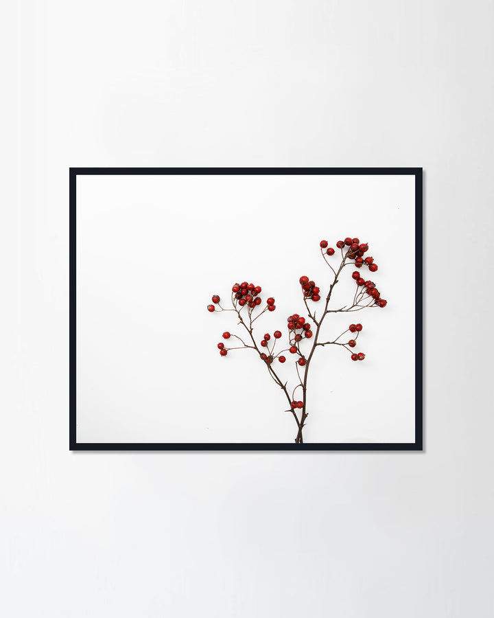 Red rowan bouquet