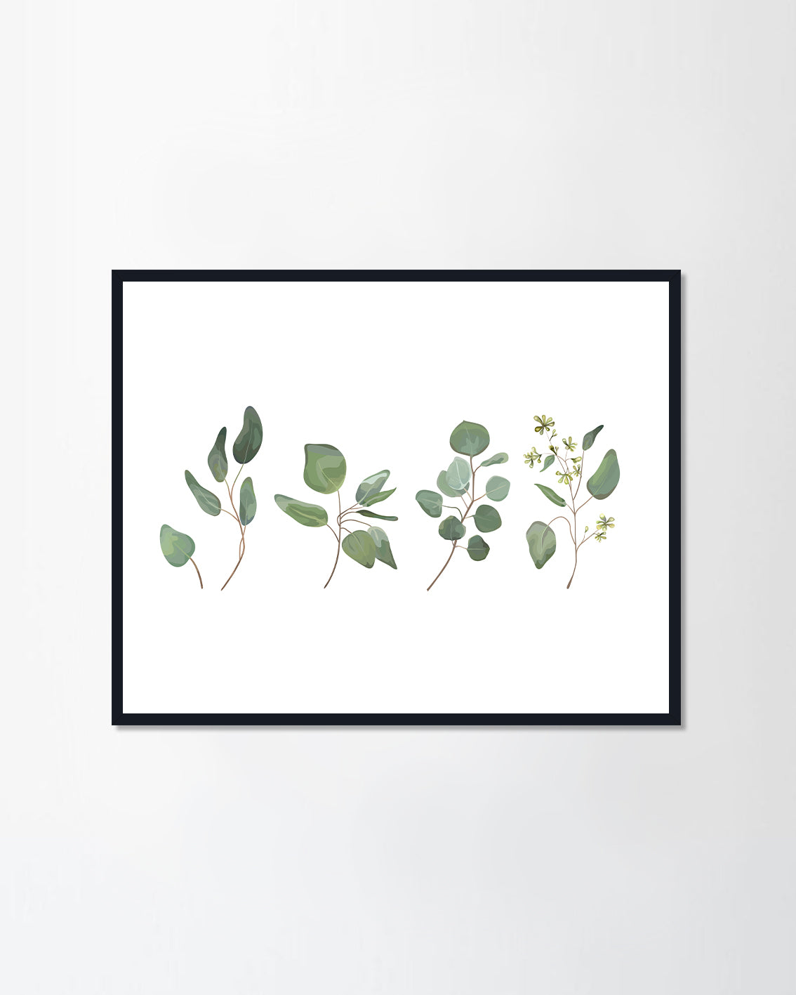 Eucalyptus seeded silver dollar tree