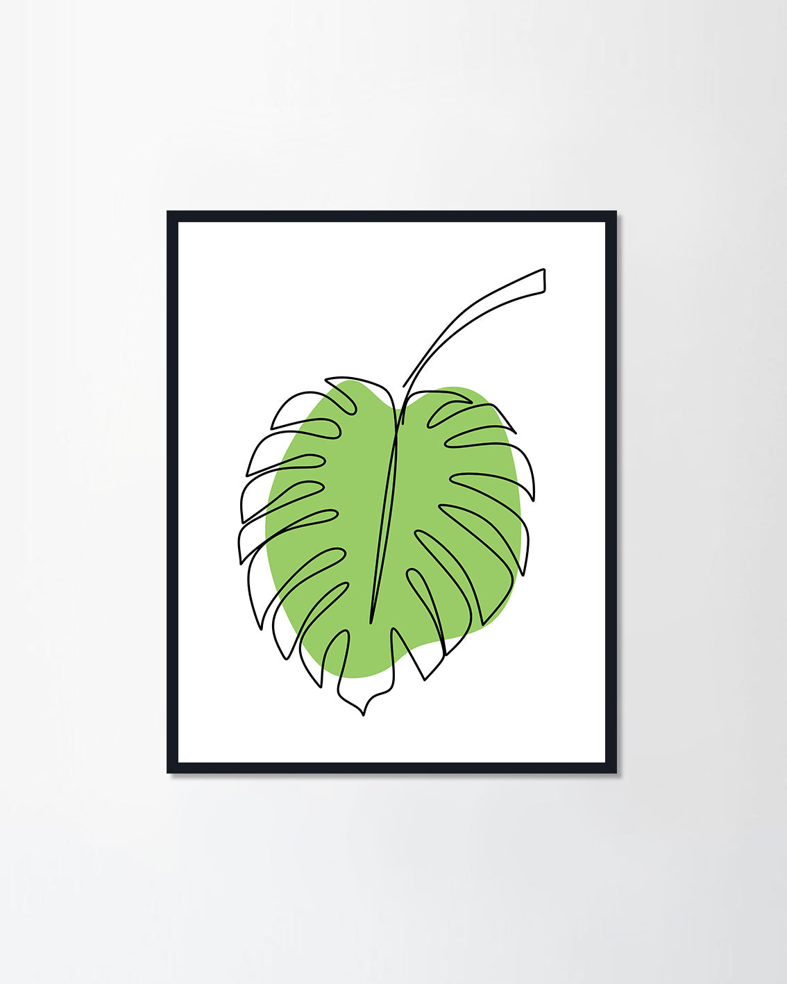 Monstera leaf