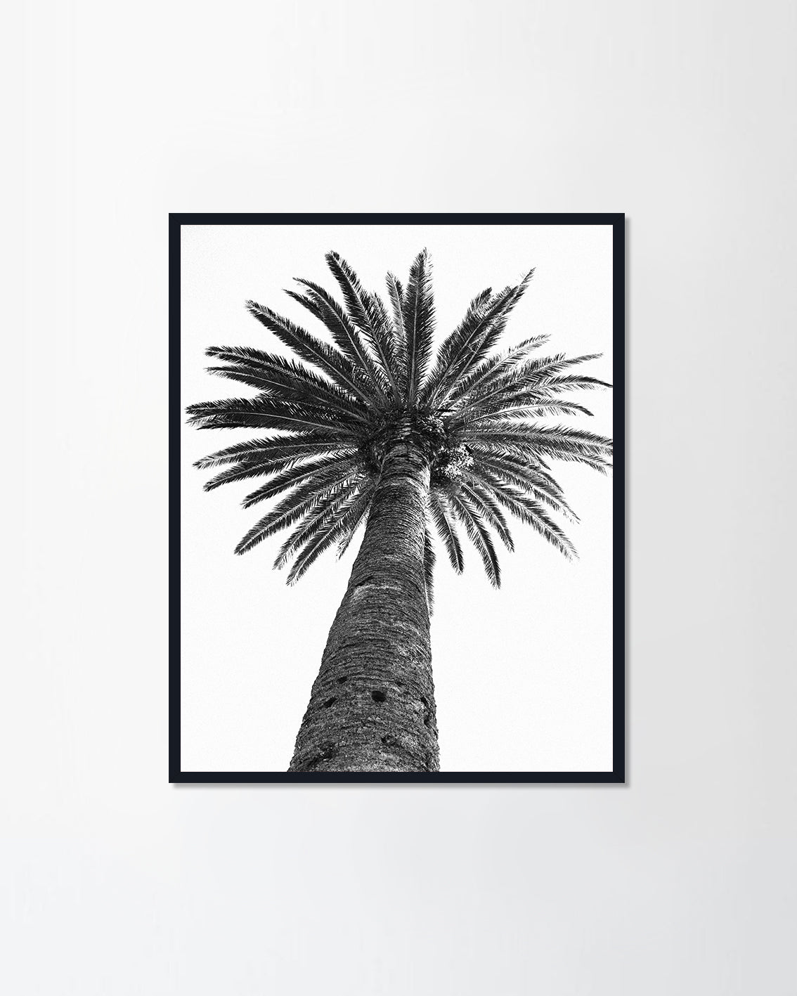 The Tree