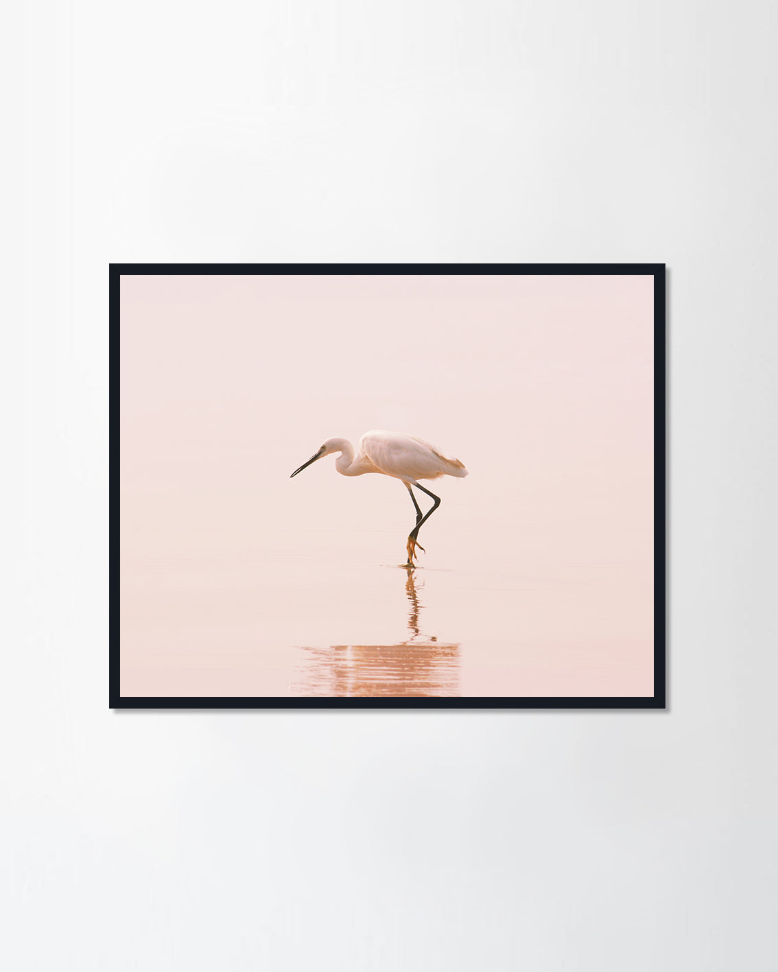 Flamingo Lover II