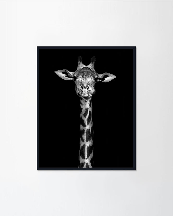 Giraffe Poster