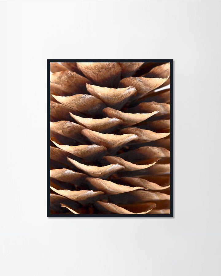 Natural christmas large pinecones