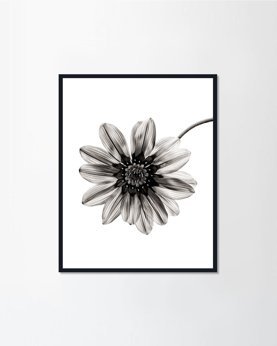 Black & White Series