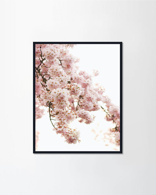 Romantic Flower series2