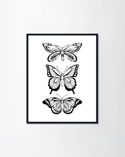 Beautiful black butterfly