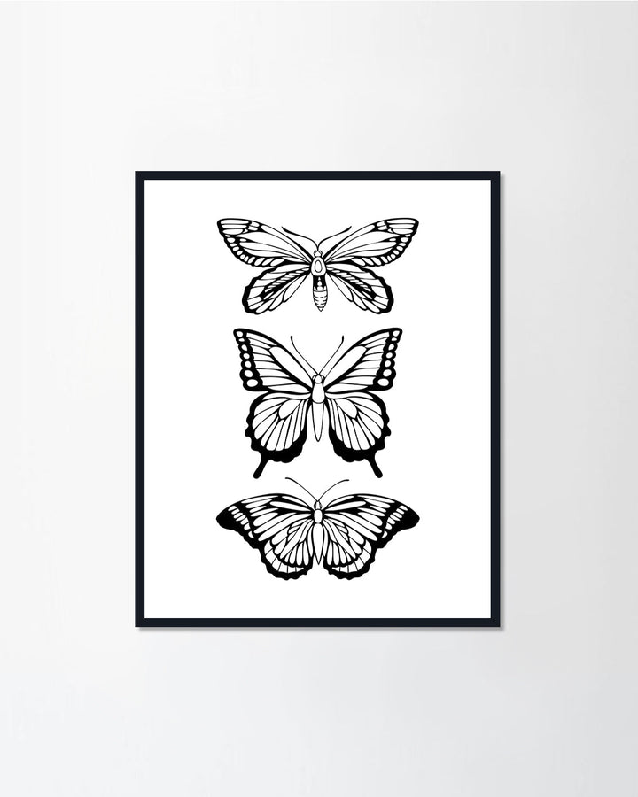 Beautiful black butterfly