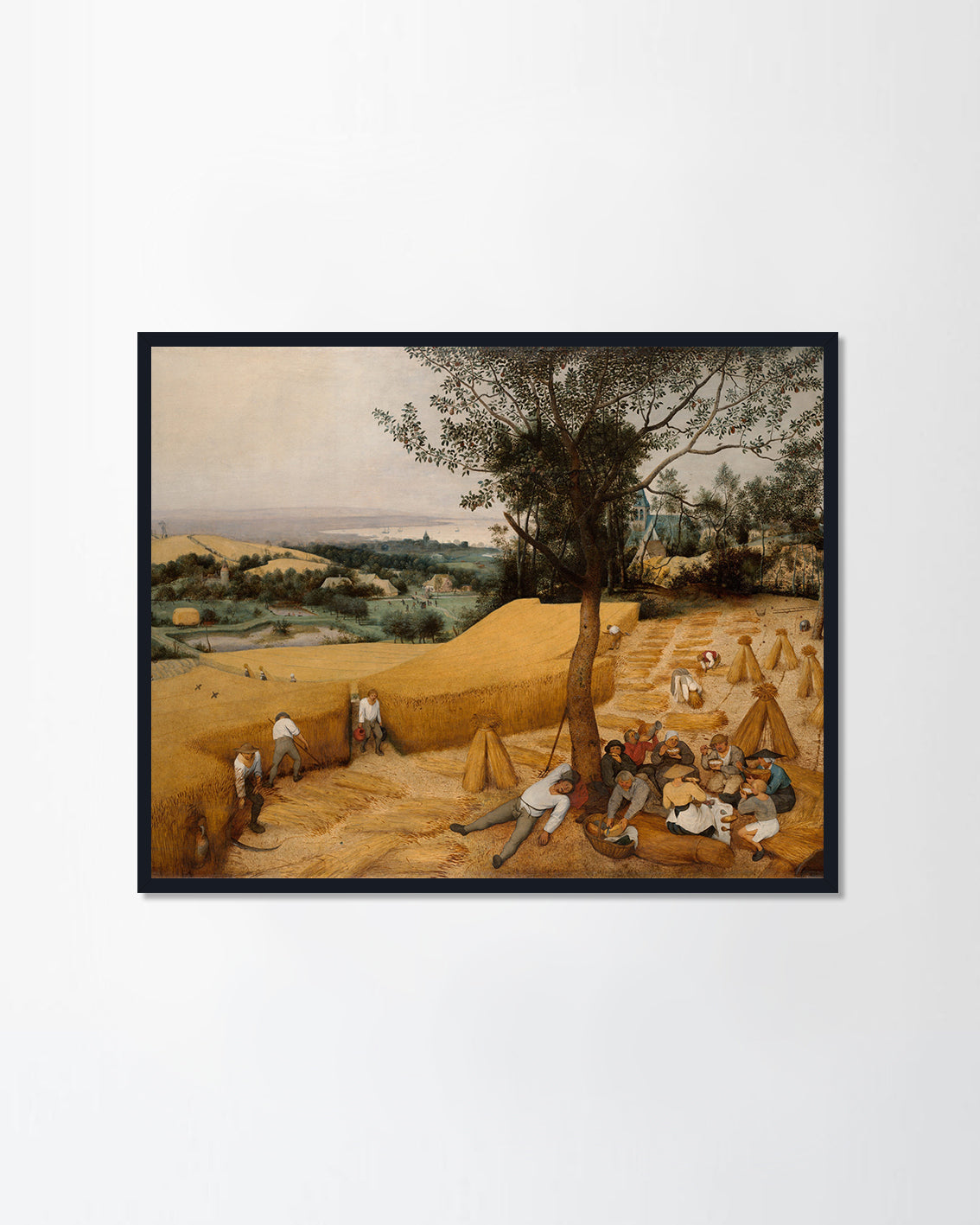 THE HARVESTERS