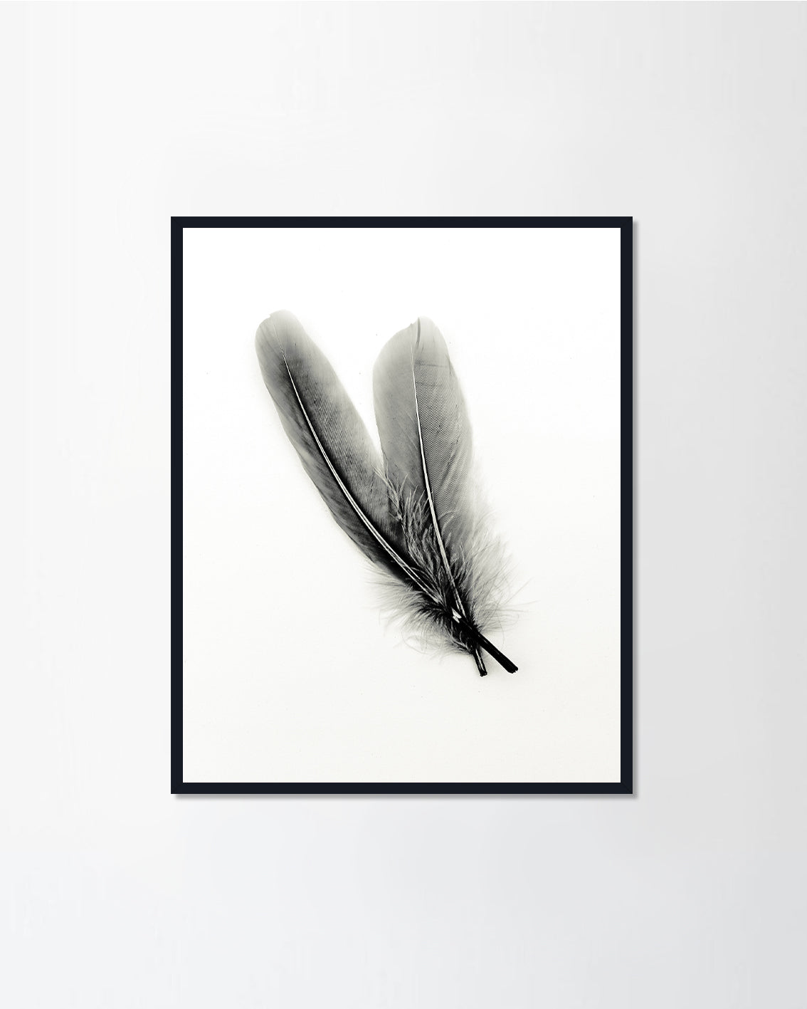 Black and White Art