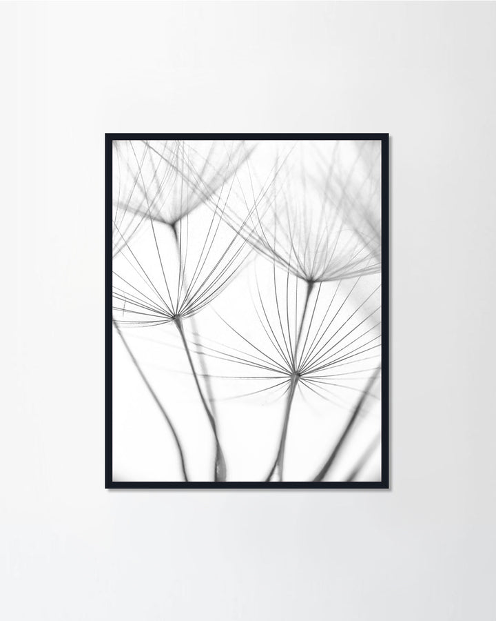 The seeds of new life