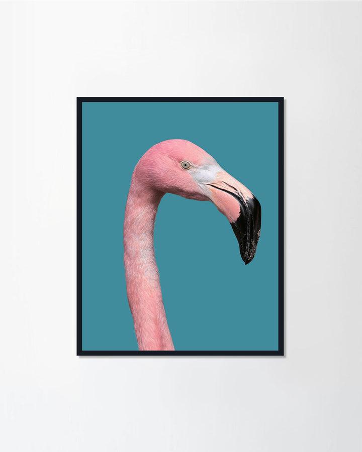 Flamingos Lover