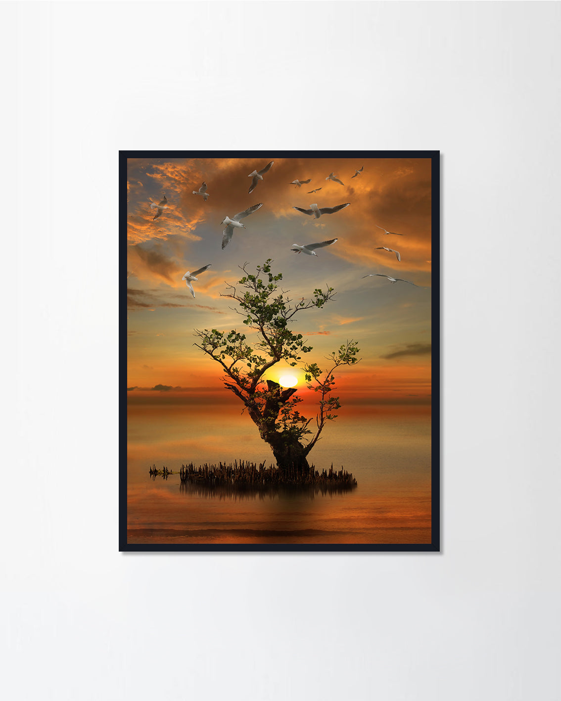 on the sunset