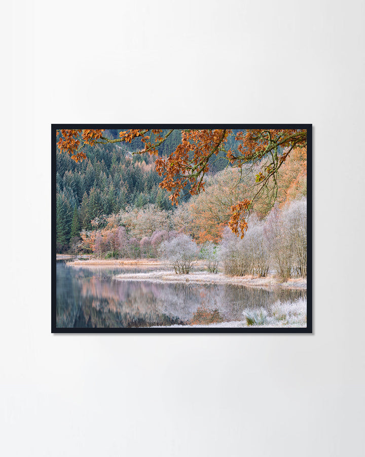 A frosty cold morning