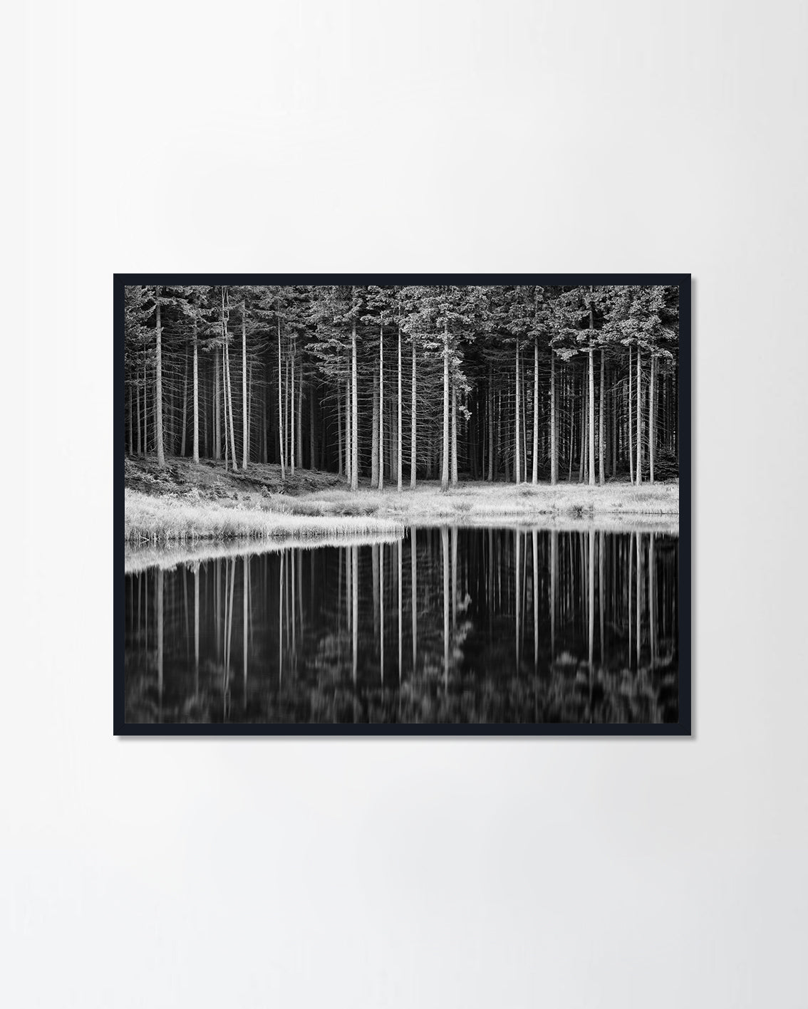 Calm lake