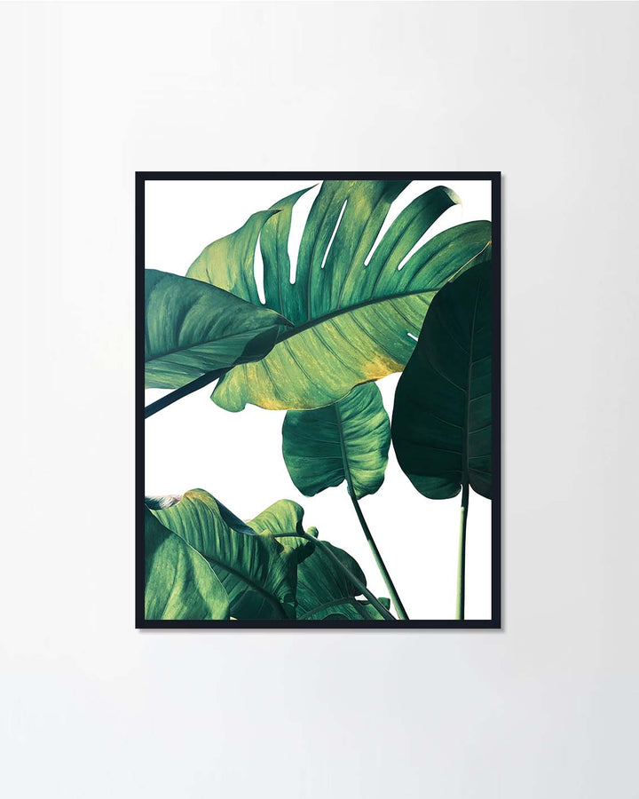 Tropical green leaves Set