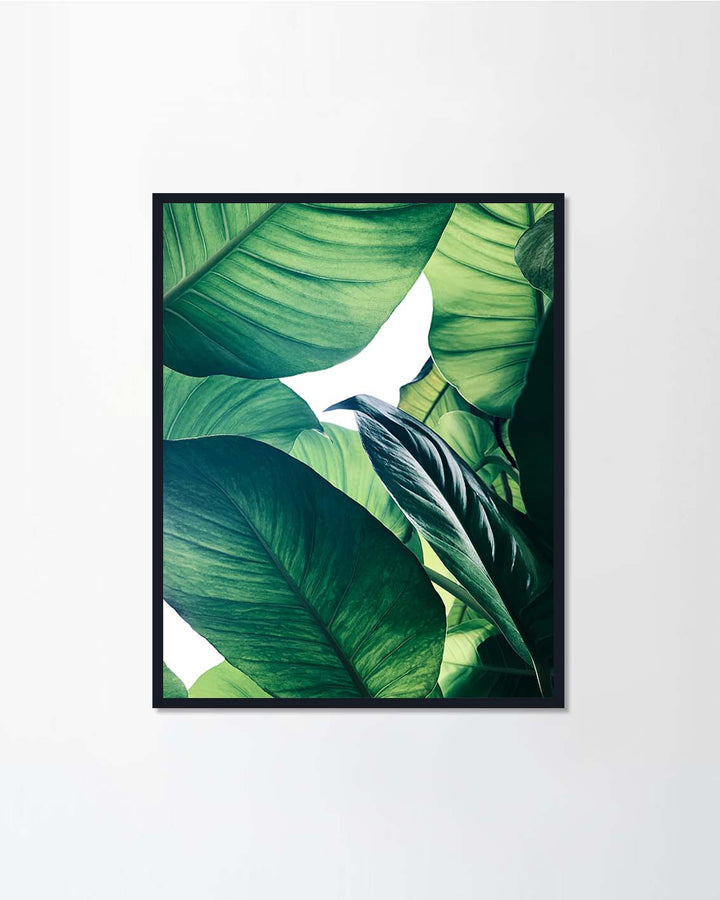 Tropical green leaves Set