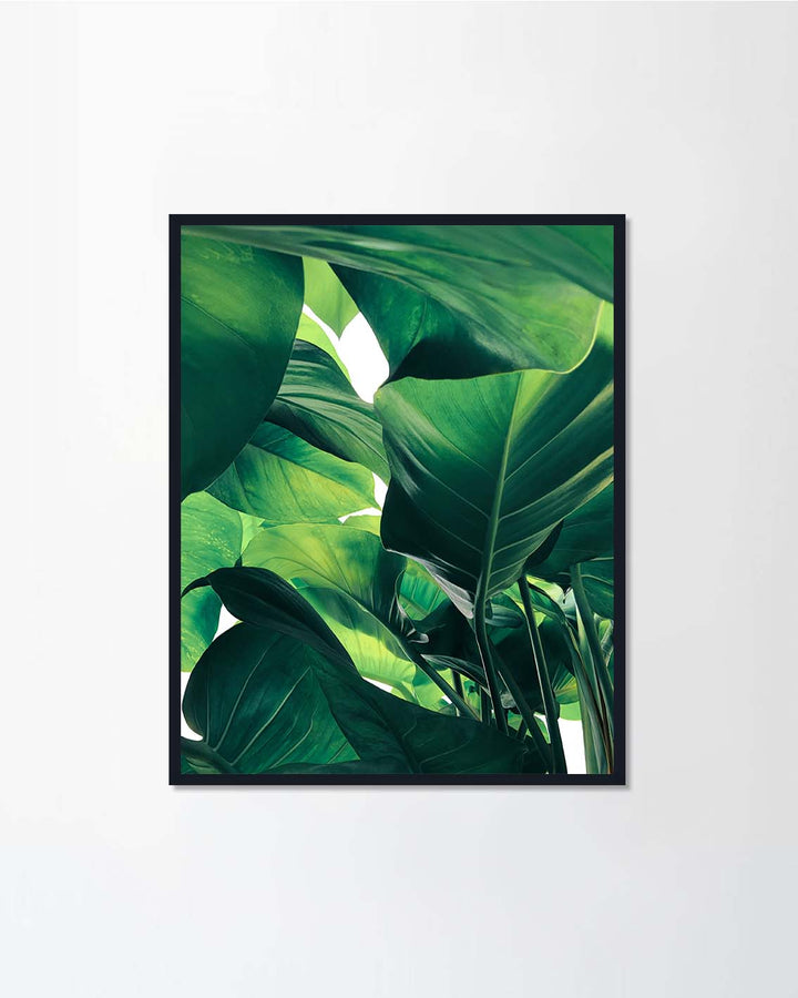 Tropical green leaves Set