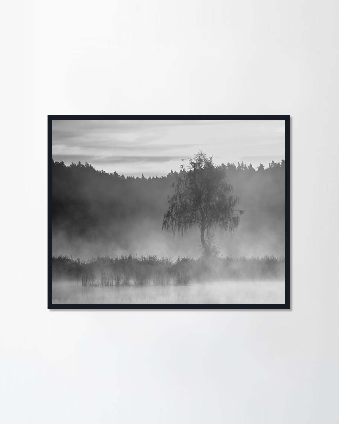 Morning in Lithuania