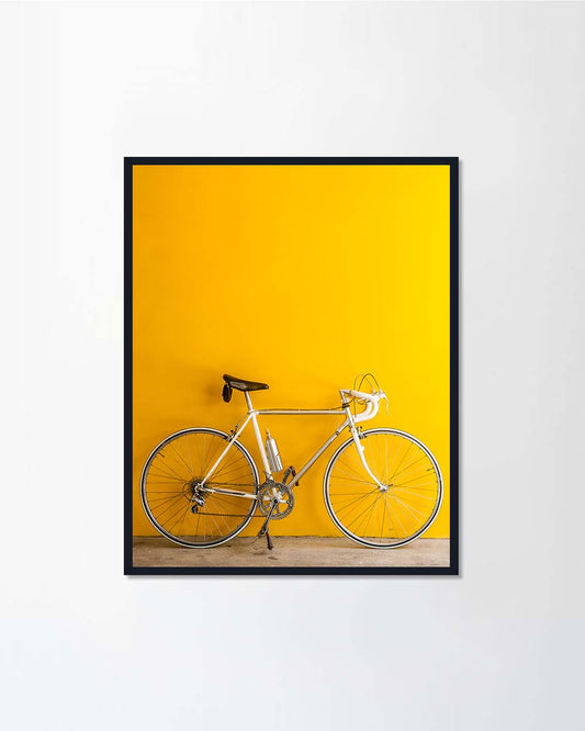The vintage bicycle