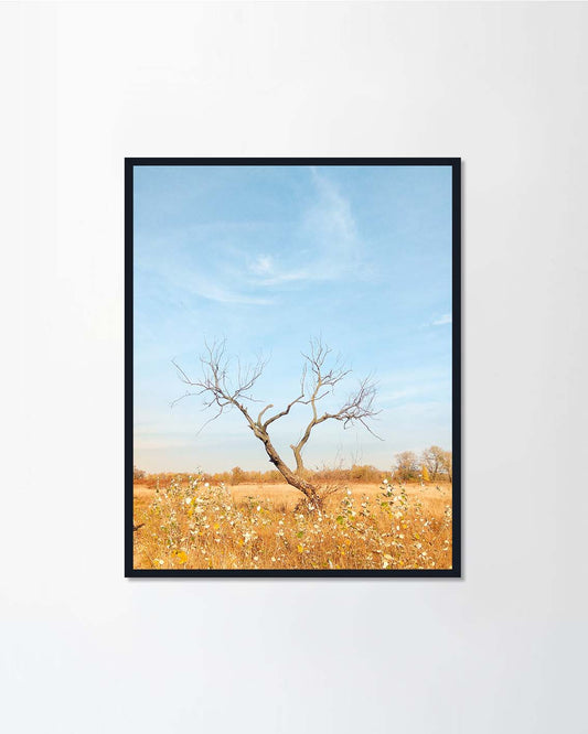Bare tree