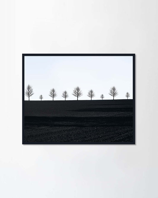 Black field and shadows