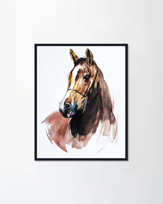 Arabian Horse