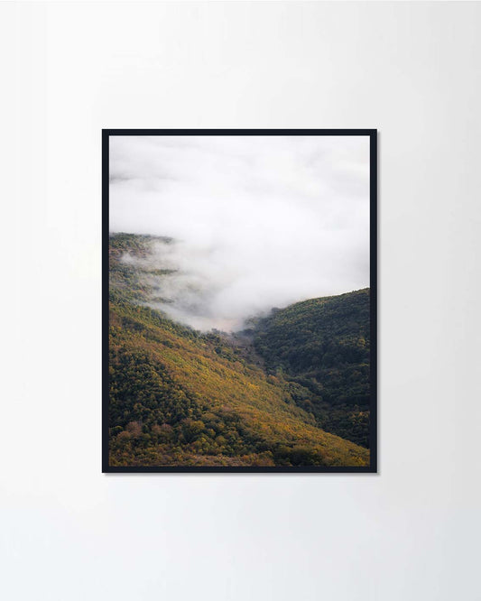 Thick fog